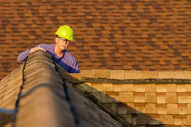 Best Roof Repair Services  in Union Park, FL