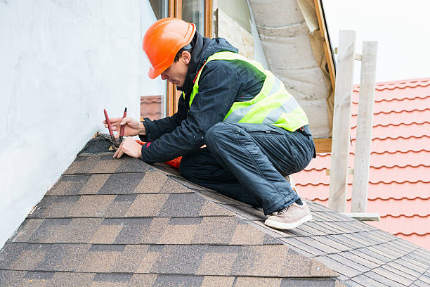 Best Shingle Roofing Installation  in Union Park, FL