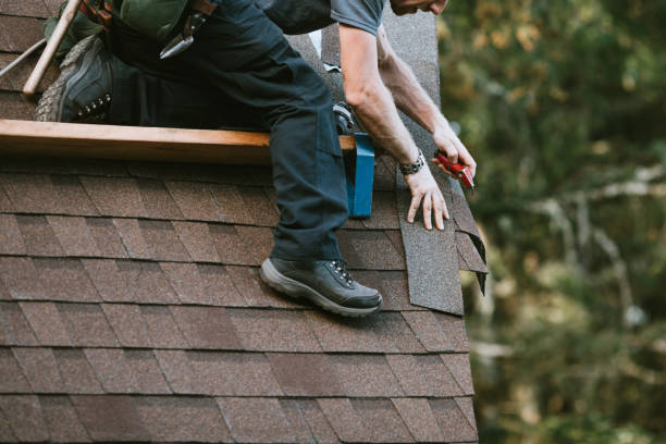 Best Flat Roof Repair Services  in Union Park, FL
