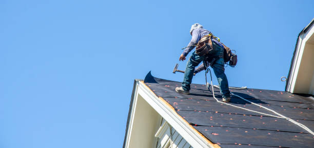 Best Storm Damage Roof Repair  in Union Park, FL